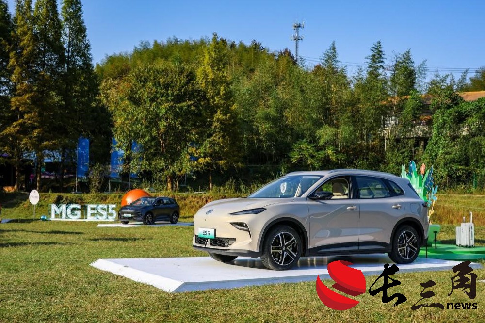 媒体管家： 欧盟高筑“关税围墙” 中国车企多维度出海谋破局