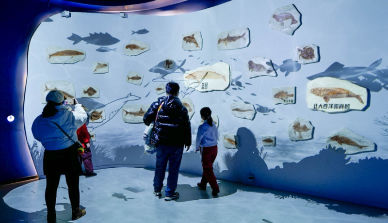 数字化展馆光影互动设计:思特科技刷新数字创意“保守”现状(图1) 数字化展馆光影互动设计:思特科技刷新数字创意“保守”现状(图1)