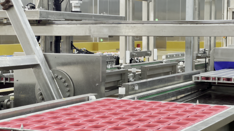 双认证加持!沈师傅食品以硬核实力,领航鸡蛋营养新赛道(图3) 双认证加持!沈师傅食品以硬核实力,领航鸡蛋营养新赛道(图3)