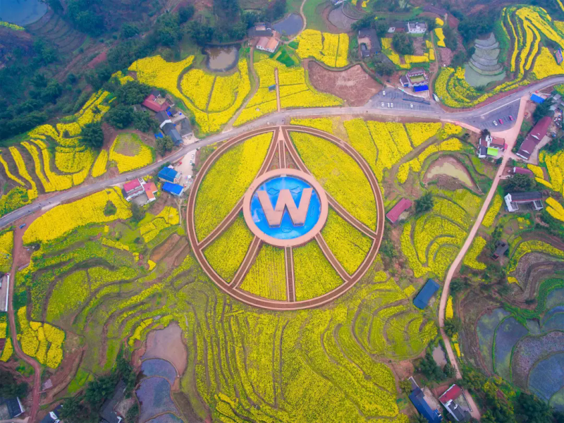 五粮文创破晓而来，以中国美学重塑白酒文化新纪元(图2)